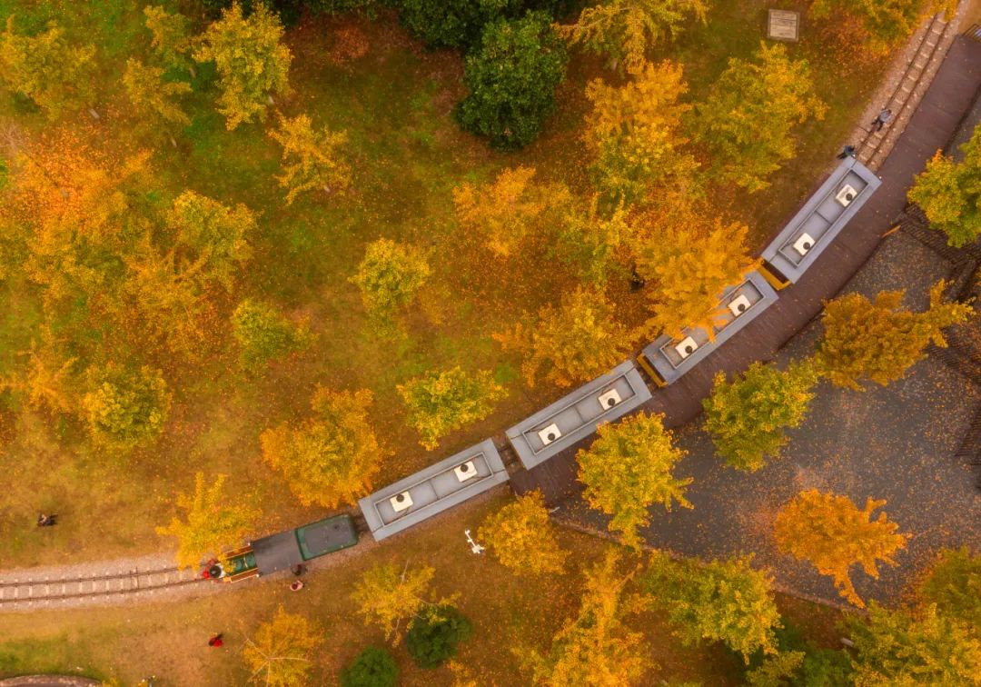 质效履行法律监督职责“浙”里看见美丽中国AG真人地址深入学习贯彻习法治思想 高(图1)