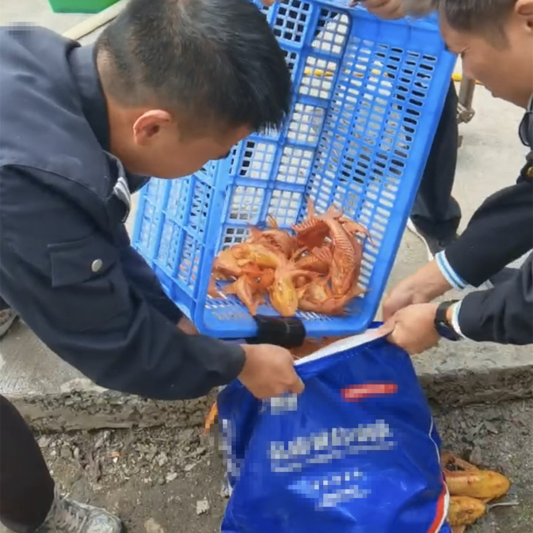 质效履行法律监督职责“浙”里看见美丽中国AG真人地址深入学习贯彻习法治思想 高(图6)