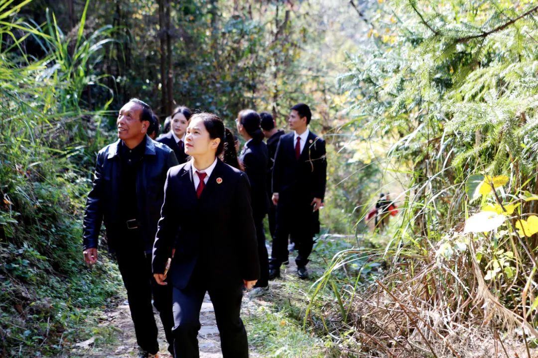质效履行法律监督职责“浙”里看见美丽中国AG真人地址深入学习贯彻习法治思想 高(图2)