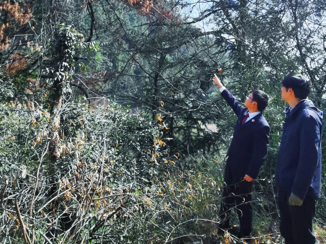 质效履行法律监督职责“浙”里看见美丽中国AG真人地址深入学习贯彻习法治思想 高(图4)