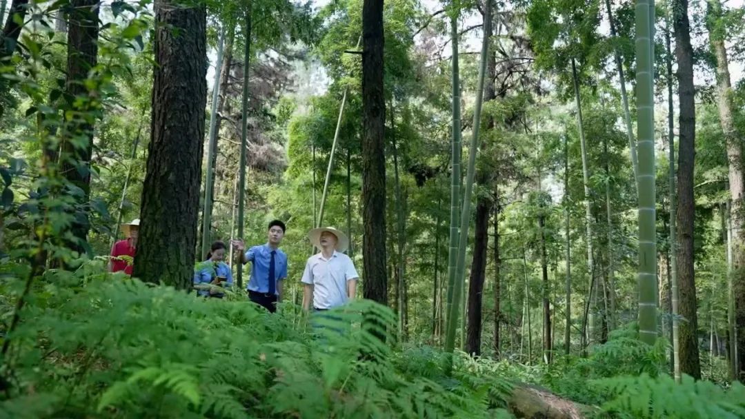 质效履行法律监督职责“浙”里看见美丽中国AG真人地址深入学习贯彻习法治思想 高(图5)