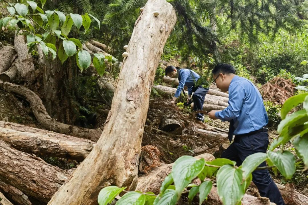 质效履行法律监督职责“浙”里看见美丽中国AG真人地址深入学习贯彻习法治思想 高(图9)