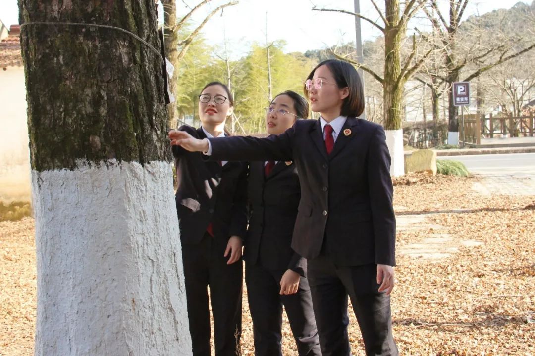 质效履行法律监督职责“浙”里看见美丽中国AG真人地址深入学习贯彻习法治思想 高(图11)