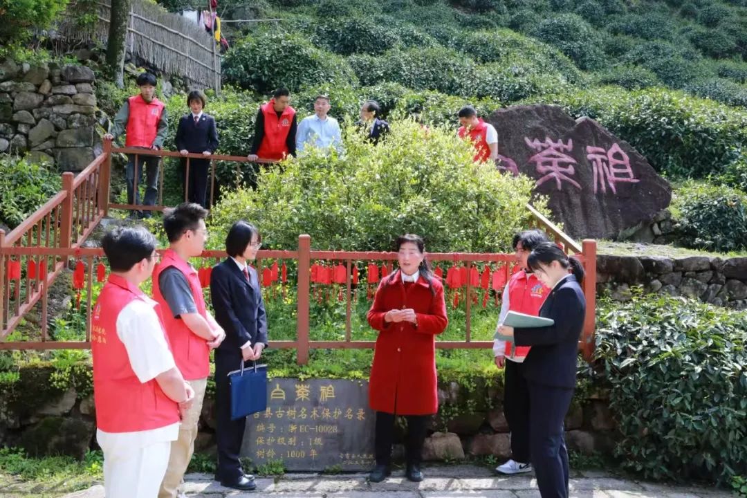 质效履行法律监督职责“浙”里看见美丽中国AG真人地址深入学习贯彻习法治思想 高(图12)